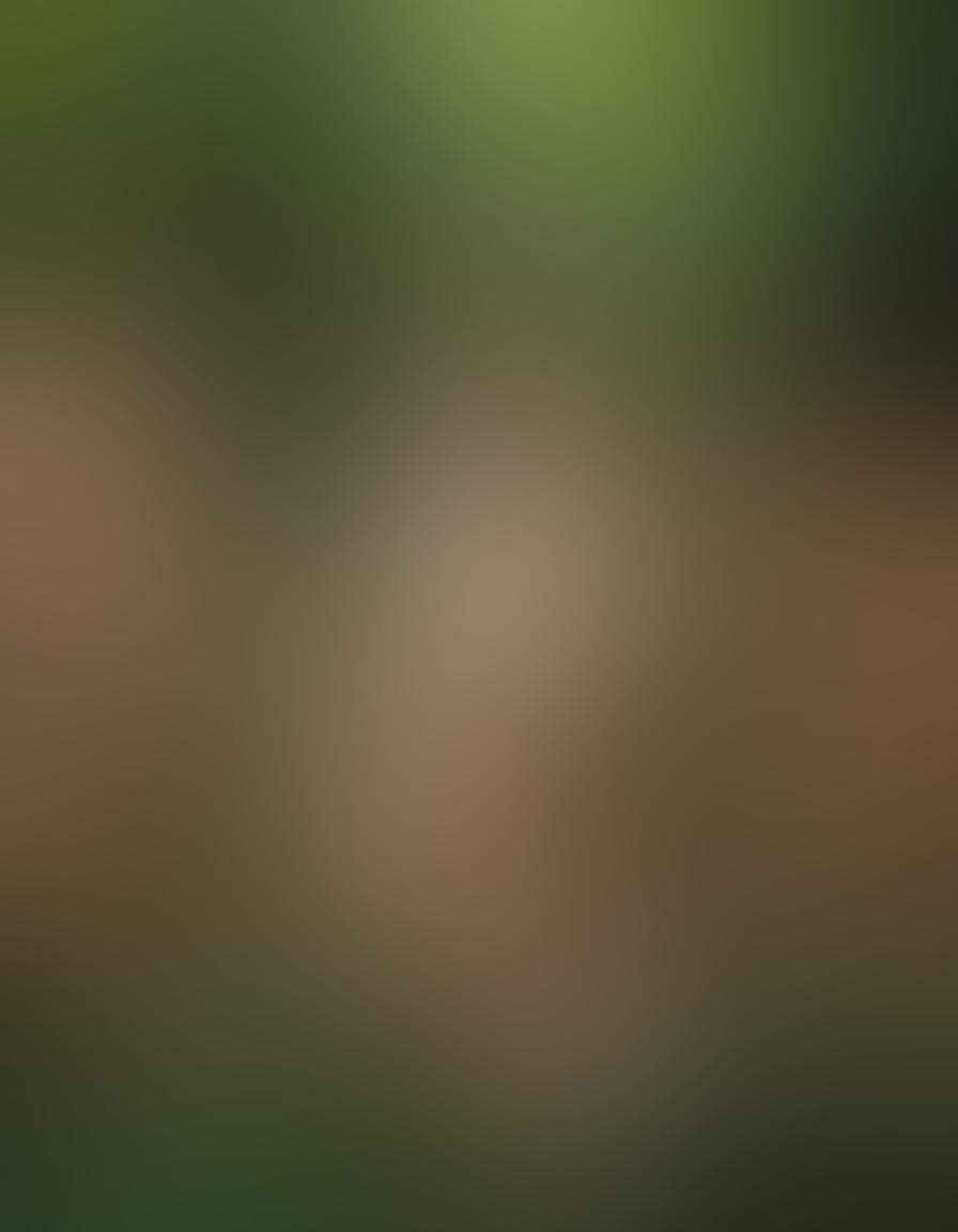 A captivating scene showcasing a diverse group of models posed artistically in various nude photography styles, embracing body positivity. Soft natural lighting highlights their silhouettes against a serene backdrop of lush greenery. Integrate abstract art elements that symbolize sensuality and freedom. The overall mood is empowering and uplifting. vibrant colors. super-realistic. soft focus.